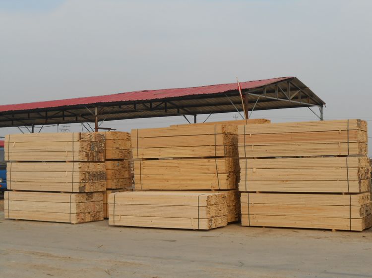 重庆叼嘿视频免费厂房