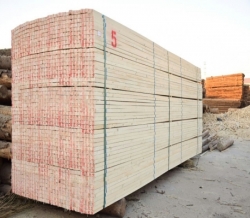 遵义重庆叼嘿视频免费