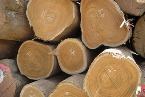 建筑叼嘿视频免费加工厂.jpg 建筑叼嘿视频免费加工厂.jpg