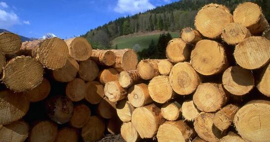 重庆叼嘿视频免费加工 重庆叼嘿视频免费加工