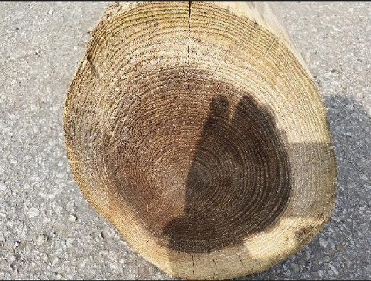 重庆建筑木方 重庆建筑木方