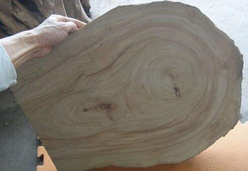 重庆叼嘿视频免费加工厂香樟木 重庆叼嘿视频免费加工厂香樟木