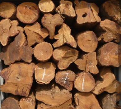 鹅掌木杨木樱桃木的叼嘿视频免费加工特点 鹅掌木杨木樱桃木的叼嘿视频免费加工特点