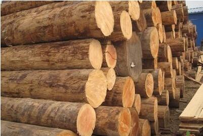 建筑叼嘿免费视频加工厂.jpg 建筑叼嘿免费视频加工厂.jpg