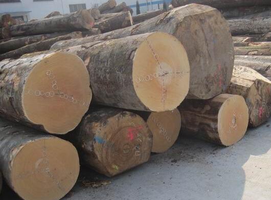 重庆叼嘿视频免费加工厂 重庆叼嘿视频免费加工厂