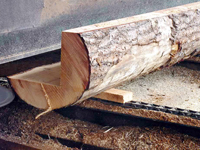 叼嘿视频免费加工 叼嘿视频免费加工